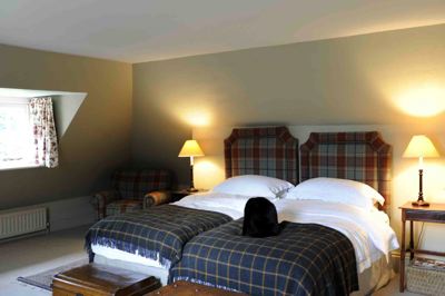 Alexis Wylie Interior Design